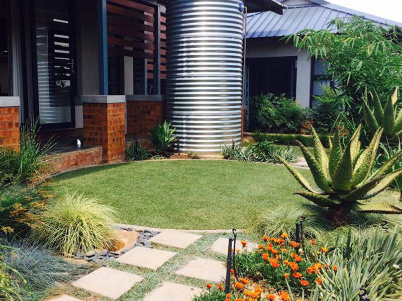 Water-wise indigenous garden design featuring a rainwater harvesting tank, stepping stone pathway, ornamental grasses, succulents, and drought-tolerant landscaping.