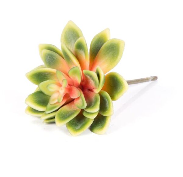 12cm Succulent Encrinite Gem Yellow Green
