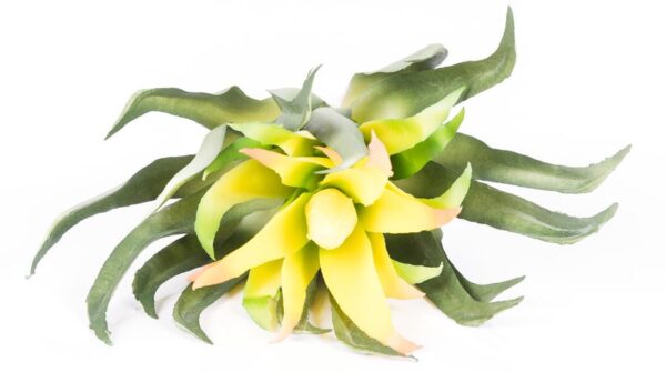 28cm Succulent Plant Yellow Head Green Leaves