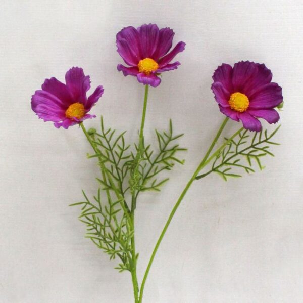 50cm Coreopsis Pink Purple