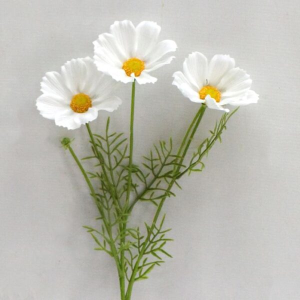 50cm Coreopsis Pure White