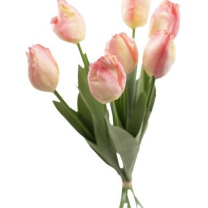 51cm Tulip Peach - Image 3