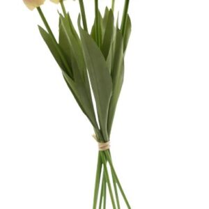 51cm Tulip Peach - Image 4