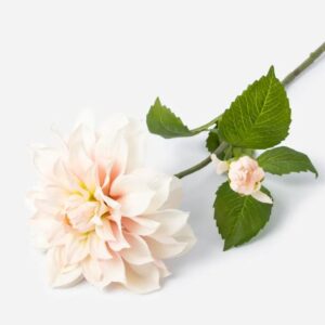 60cm Cut Flower 2 Heads Dahlia Cream Pink - Image 2