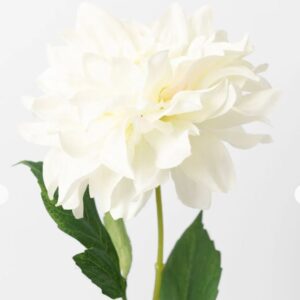 60cm Cut Flower 2 Heads Dahlia Cream Pink - Image 5