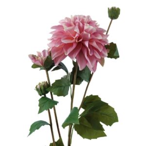60cm Cut Flower 2 Heads Dahlia Rose Dark Pink - Image 2