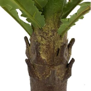 70cm Mararitium Fern - Image 3