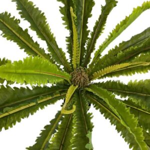 70cm Mararitium Fern - Image 4