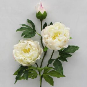 81cm Cut Flower 3 Heads Peony White Pink - Image 5