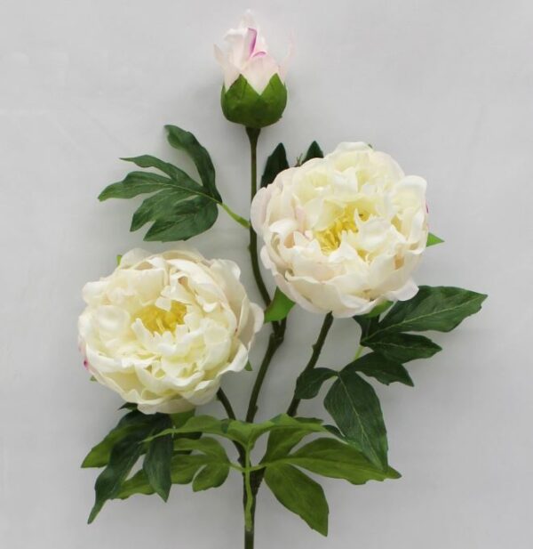 81cm Cut Flower 3 Heads Peony White Pink