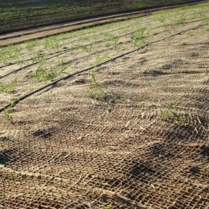 Hessian cloth - Image 6